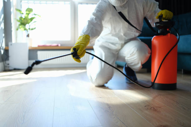 Reliable Odor Removal contractor in Belmont, CA by Trauma Clean Pros